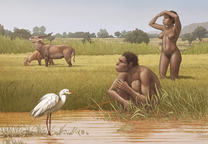 did-humans-transform-from-chimpanzees-true-or-false