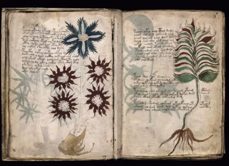 The Voynich Manuscript The 600 Year Old Book No One Has Ever Been Able To Read