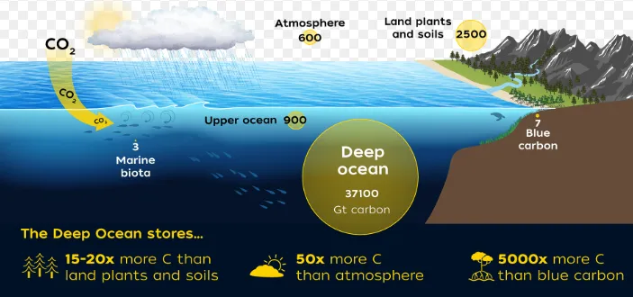 the-ocean-s-amazing-role-in-keeping-earth-livable