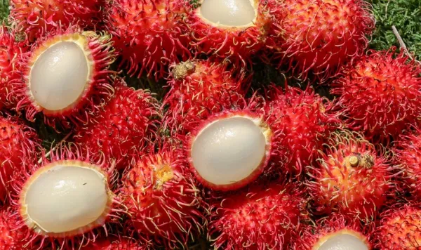 5-weird-fruits-that-look-like-they-re-from-another-planet