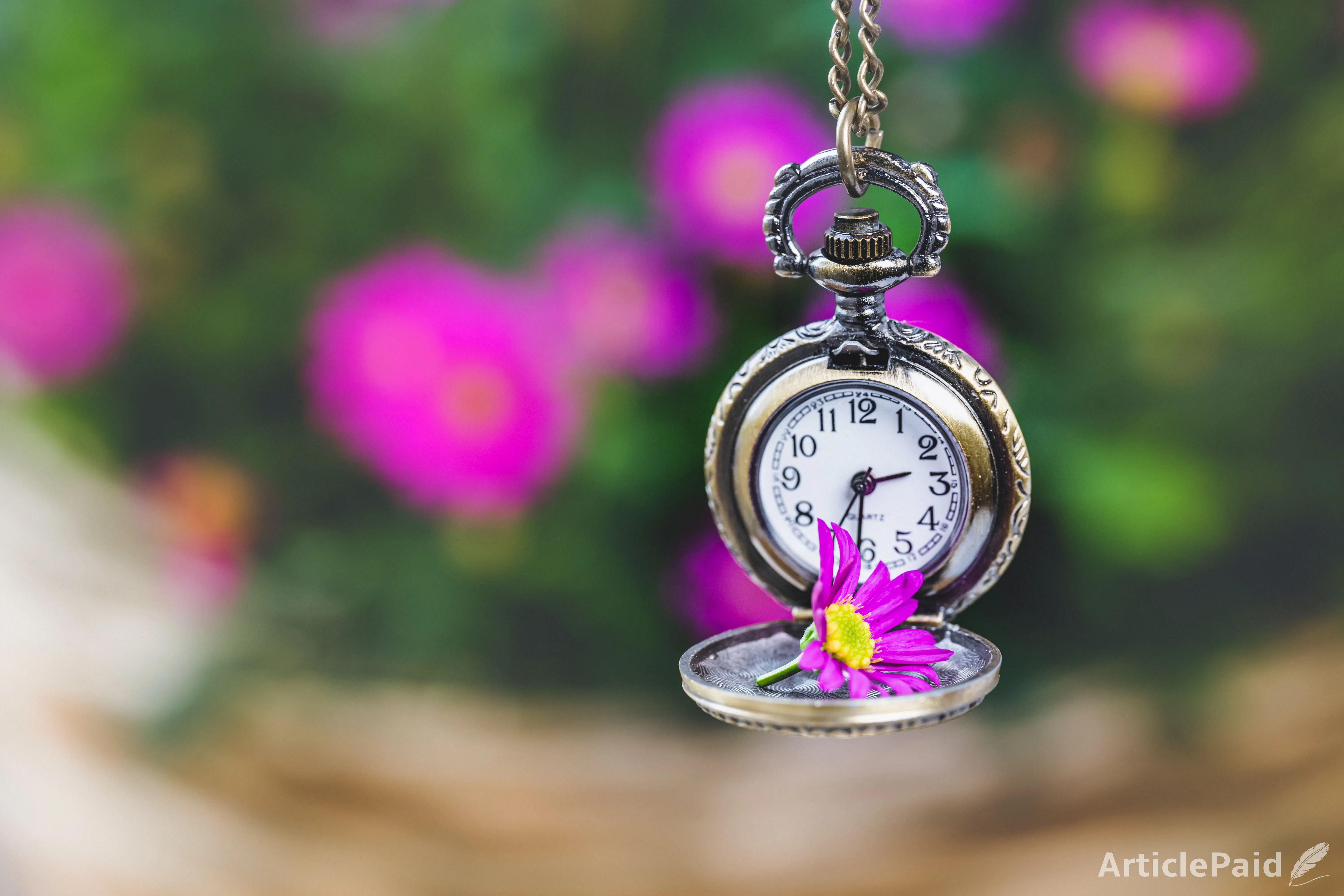 5-powerful-habits-to-lift-your-energy-and-thrive